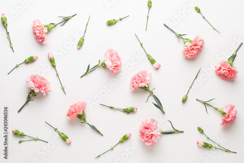 Pink carnation flowers on white background. Flat lay, top view, copy space. photo