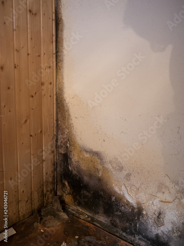 Massive mold damages on a wall because of humidity photo