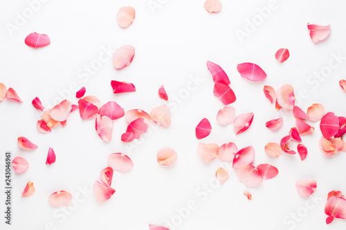 Valentine's Day. Rose flowers petals on white background. Valentines day background. Flat lay, top view, copy space.
