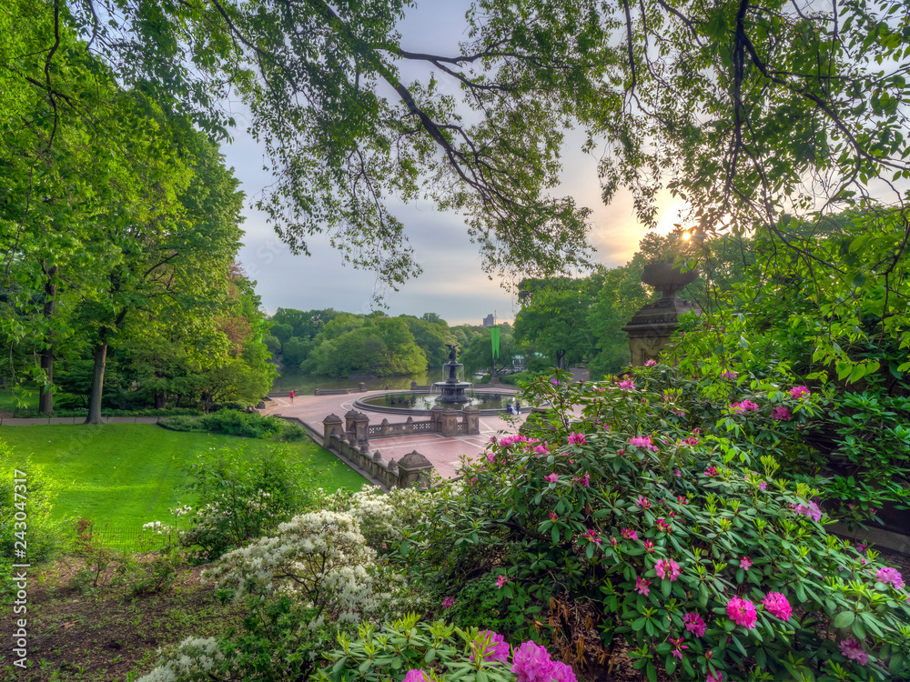 Naklejka premium Central Park, New York City in spring