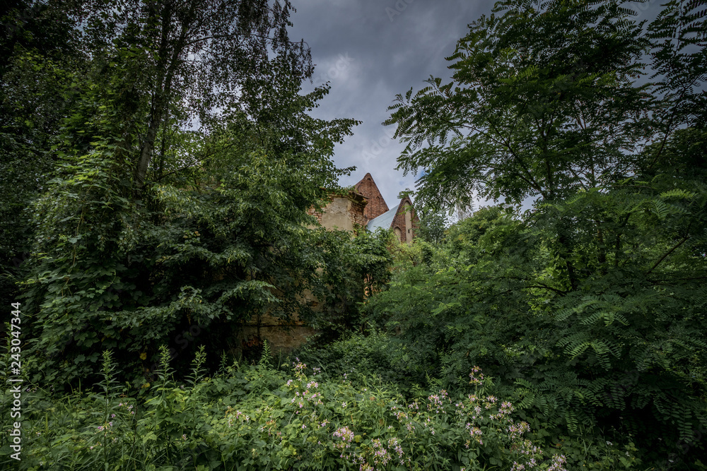 Abandoned church standing in the middle of the forest, completely empty.