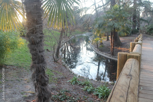Small wooden bridge over river surrounded by vegetation. Photo taken at sunset