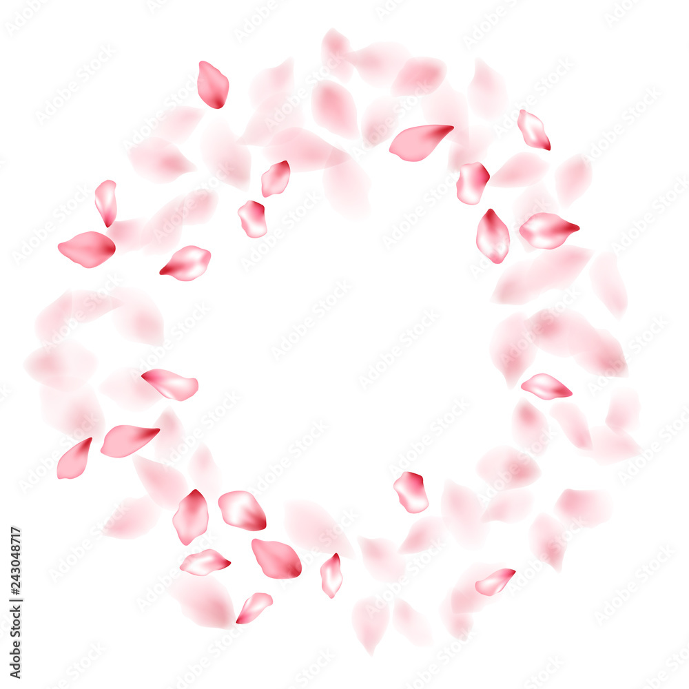 Pink sakura flower flying petals isolated on white vector background. Pink sakura flower flying petals isolated on white vector background.
