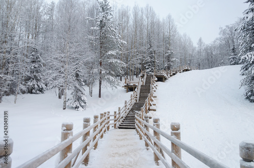 Wooden stairs through the forest in North Russia