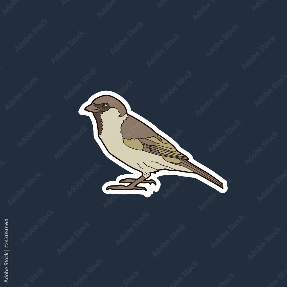 simple illustration of a sparrow