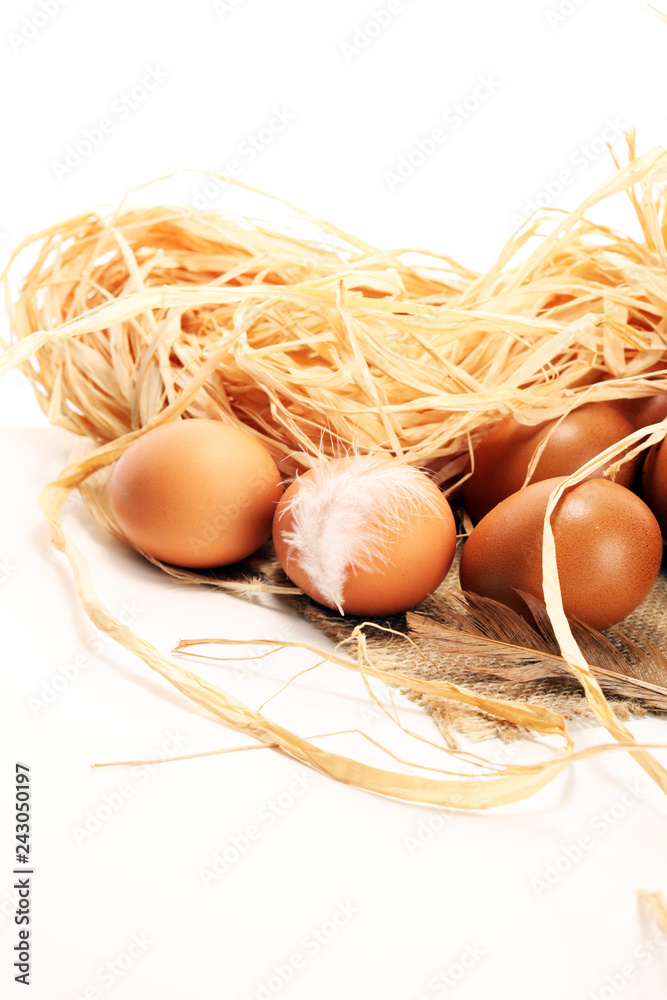 Egg. Fresh farm eggs. Easter egg with feather concept Egg. Fresh farm eggs. Easter egg with feather concept