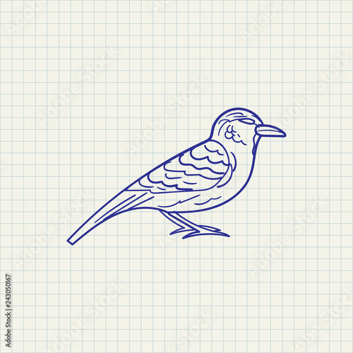 simple drawing sparrow