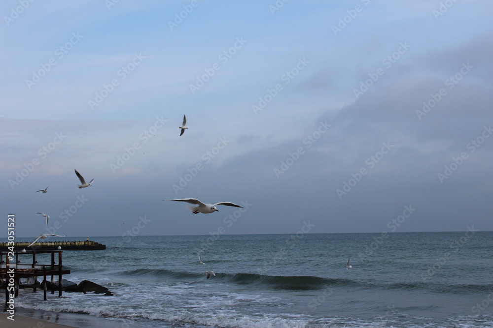 Fototapeta premium sea ​​in winter
