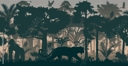 Vector African horizontal seamless tropical rainforest Jungle background with animals