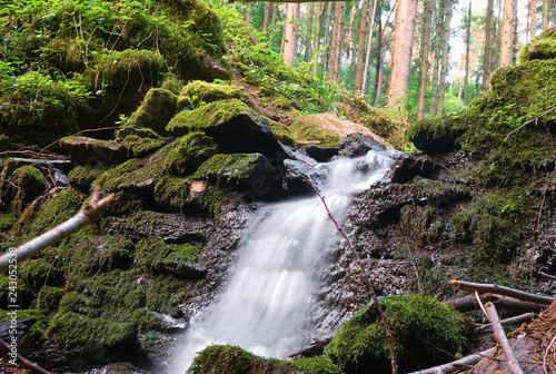 kleiner Wasserfall in einem grünen Frühlingswald