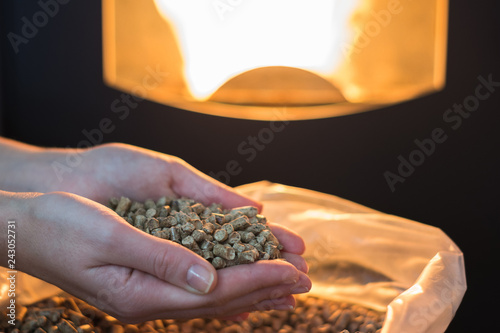 Natural wood pellet for heating in women`s hands, bio fuel