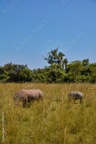 Ziwa Rhino Sanctuary © batman6794