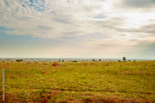 Murchison Falls National Park