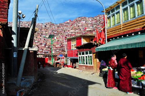 東チベット