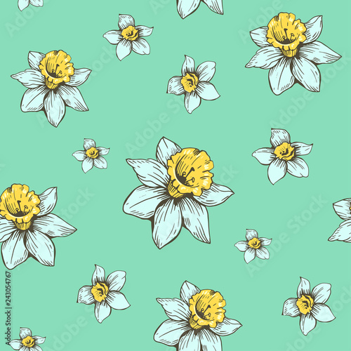 Seamless pattern with spring flowers daffodils. Vector illustration