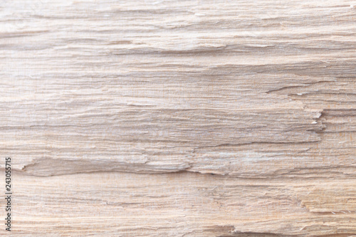 Holz Fasern als Hintergrund - Textur