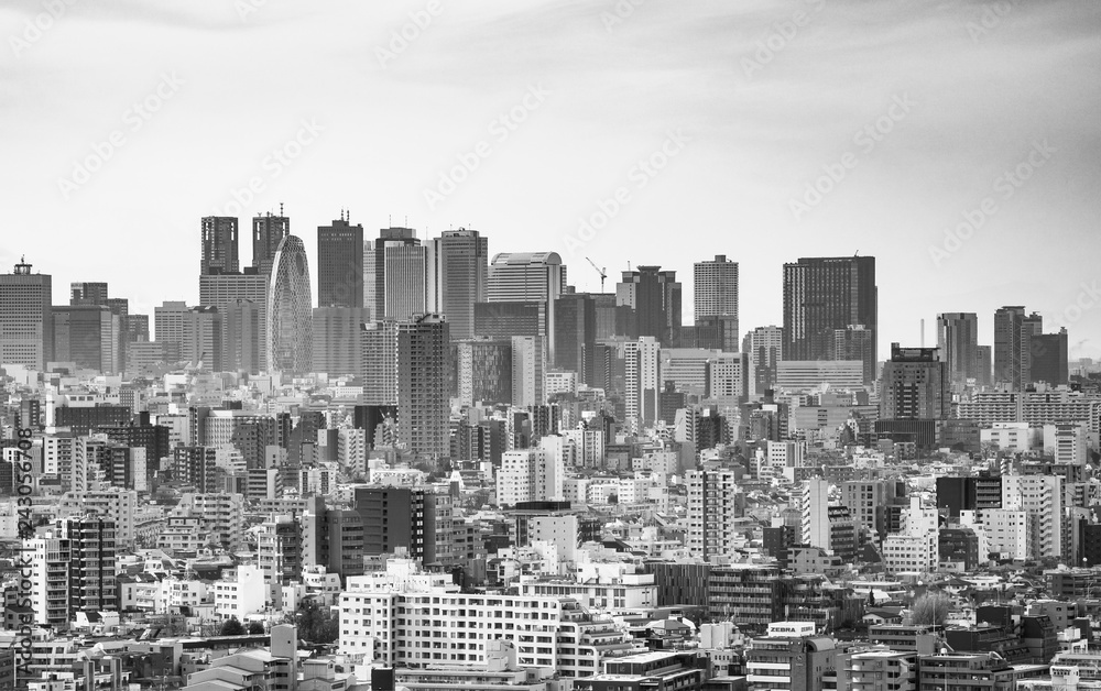 新宿副都心の高層ビル群　モノクロ