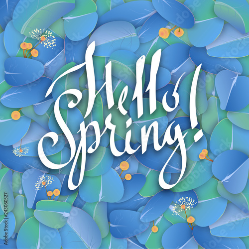 Hello spring background with beautiful eucalyptus blossom.