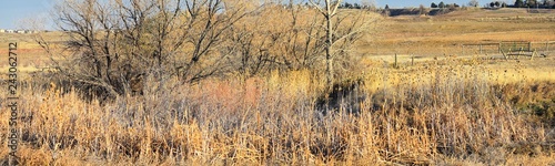 Views from the Cradleboard Trail walking path on the Carolyn Holmberg Preserve in Broomfield Colorado surrounded by Cattails, wildlife, plains and Rocky mountain landscape during fall close to winter.
