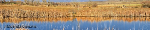 Views from the Cradleboard Trail walking path on the Carolyn Holmberg Preserve in Broomfield Colorado surrounded by Cattails, wildlife, plains and Rocky mountain landscape during fall close to winter.