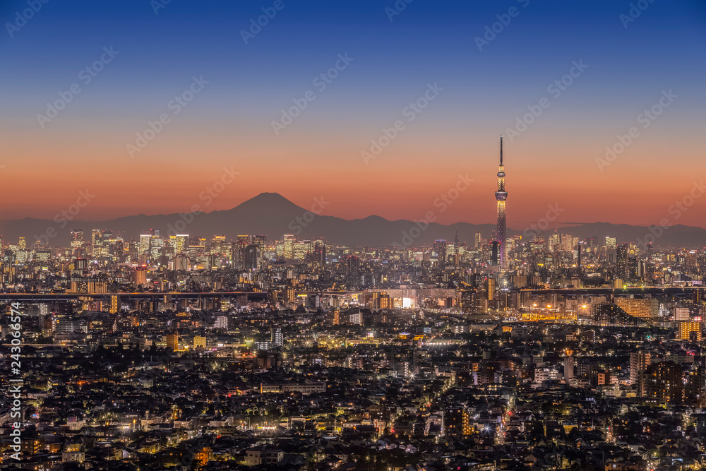 Mt. Fuji and Tokyo city view in evening