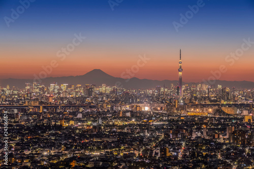 Mt. Fuji and Tokyo city view in evening
