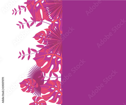invitation card monstera proton purple