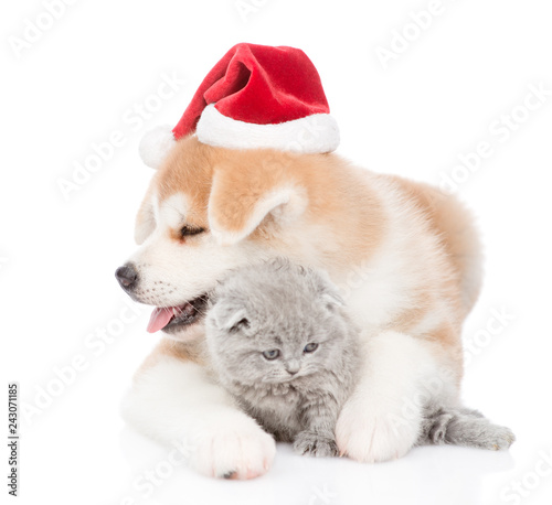 Akita inu puppy in red christmas hat hugging baby kitten. isolated on white background