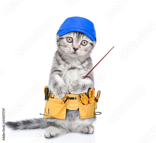 Funny cat worker with toolbelt pointing on empty space.  Isolated on white background photo