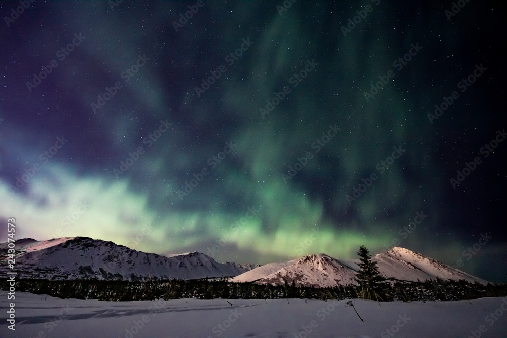 Alaska winter aurora borealis