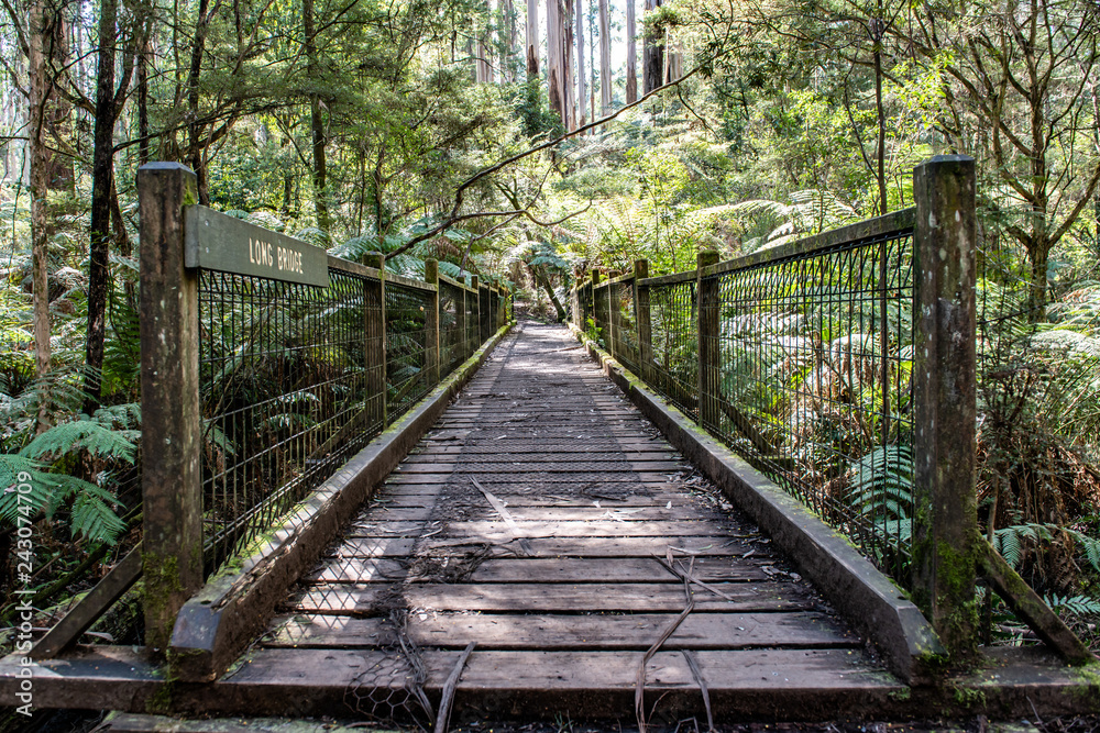 Obraz premium Landscape