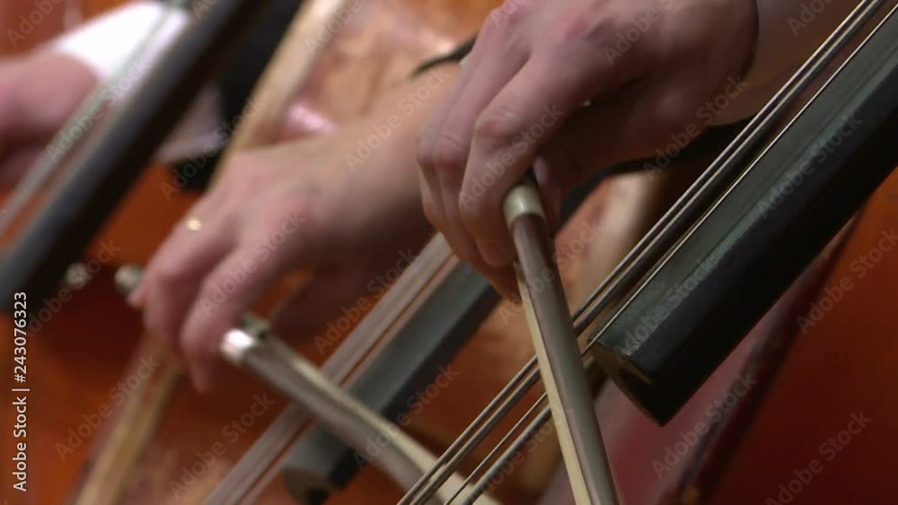 Symphony orchestra cello plays . Close up Symphony orchestra cello plays . Close up