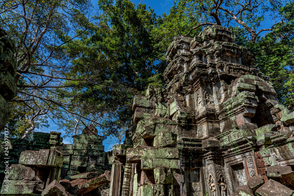 Fototapeta premium Ta prohm temple ruins at Angkor, Siem Reap Province, Cambodia