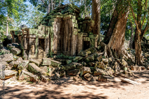 Ta prohm temple ruins at An...