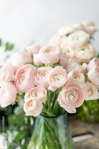 Persian buttercup in glass vases. Bunch pale pink ranunculus flowers light background. Wallpaper. Winter season flowers