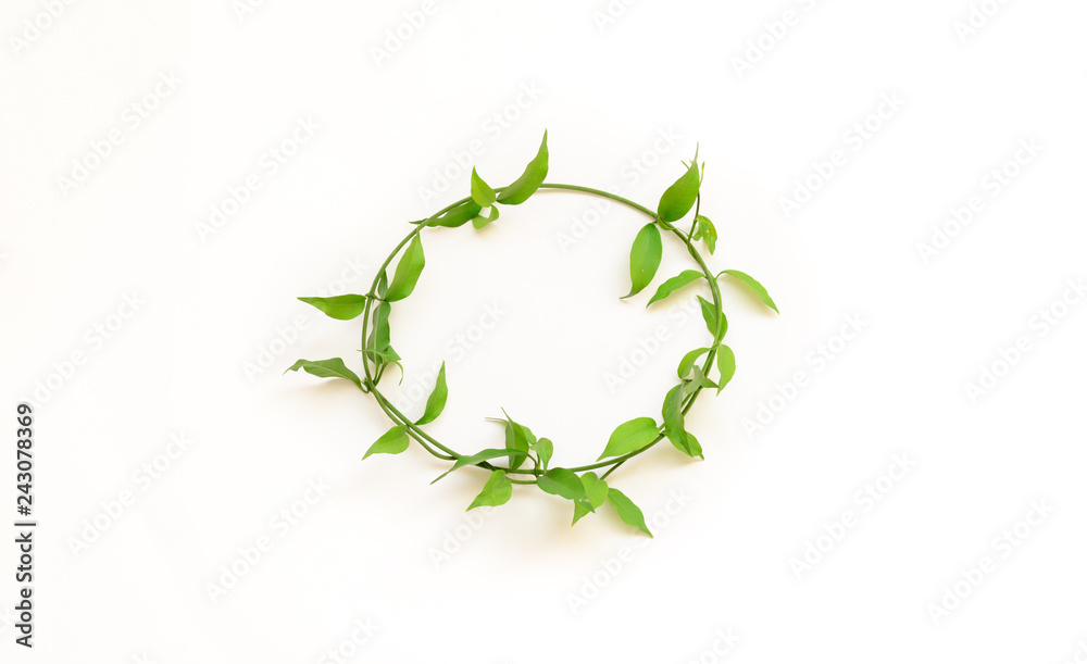 Green leaf photo frame concept Green leaf photo frame concept