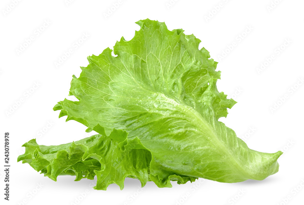 Lettuce isolated on white with clipping path - obrazy, fototapety, plakaty 