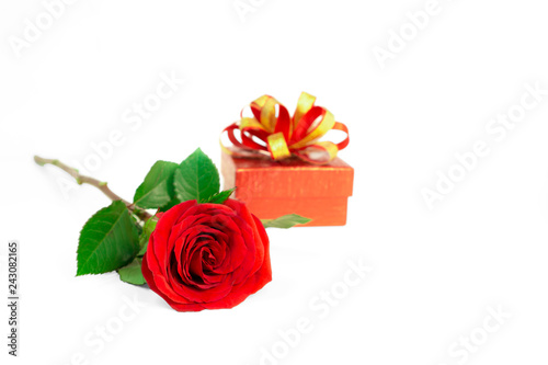 A bunch of red petals of Rose with green leaves and a red gift box with golden ribbon  a symbol for valentines day  isolated on white background  di cut with clipping path