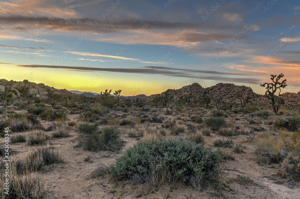 Joshua Tree National Park Joshua Tree National Park