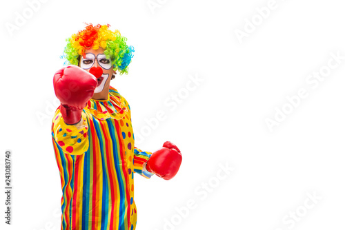 Male clown isolated on white  © Elnur
