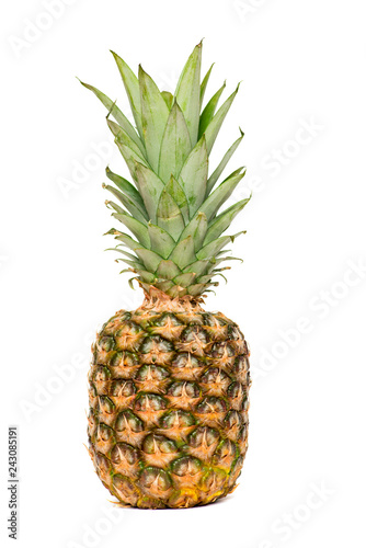 Pineapple isolated. One whole pineapple with green leaves isolated on white background. Single whole pineapple isolated on white background