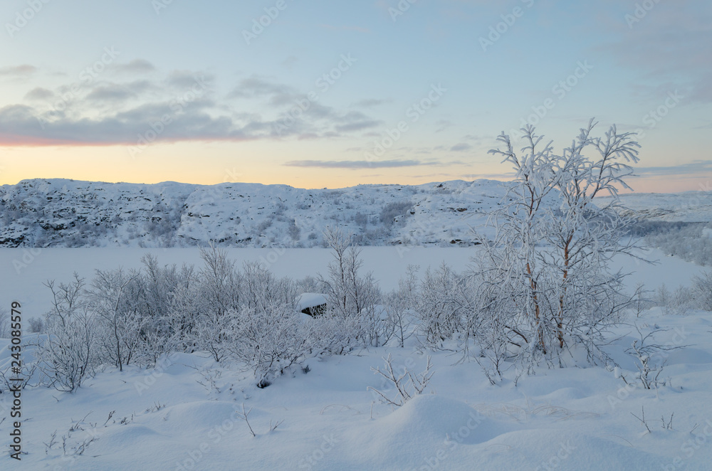 Winter landscape, trees covered with frost, frozen lake.