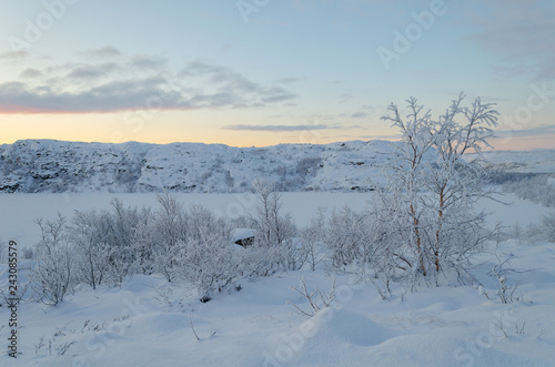 Winter landscape, trees covered with frost, frozen lake.