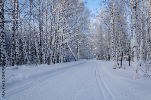 ski trail in the winter forest © Евгений Малинин