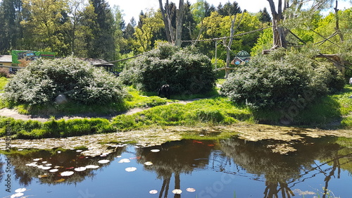 Serengeti Park Germany ( Hodenhagen)	 photo