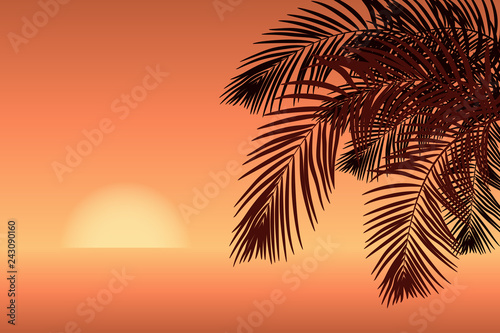 Palm tree on the sea coast at sunset