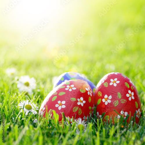 Easter eggs lying on green spring grass along with Bellis flowers. Space for text