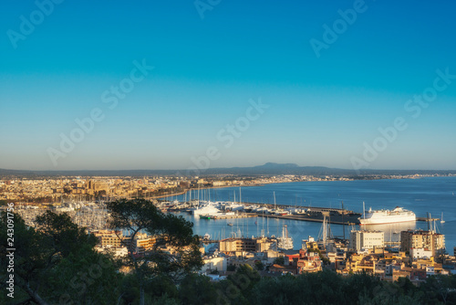 Aerial view of Palma de Majorca, Balearic islands, Spain