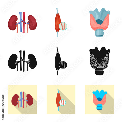 Vector design of body and human symbol. Set of body and medical stock symbol for web.