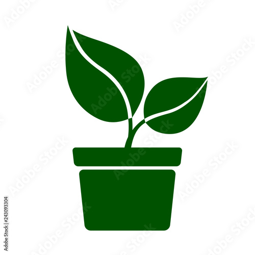 Icon of green plant. Sprout with green leaves in pot. Vector Illustration